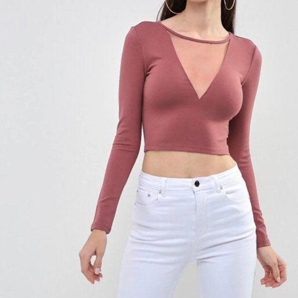 Forever 21 Dusty Rose Mesh V Crop Top - Picture 1 of 3